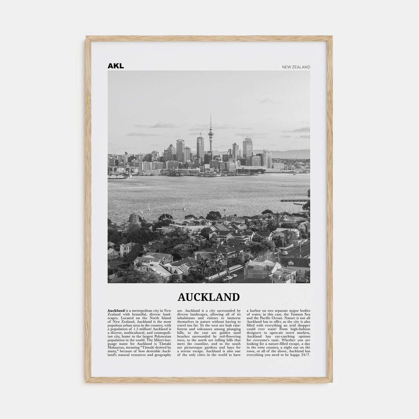Auckland Travel B&W No 2 Poster