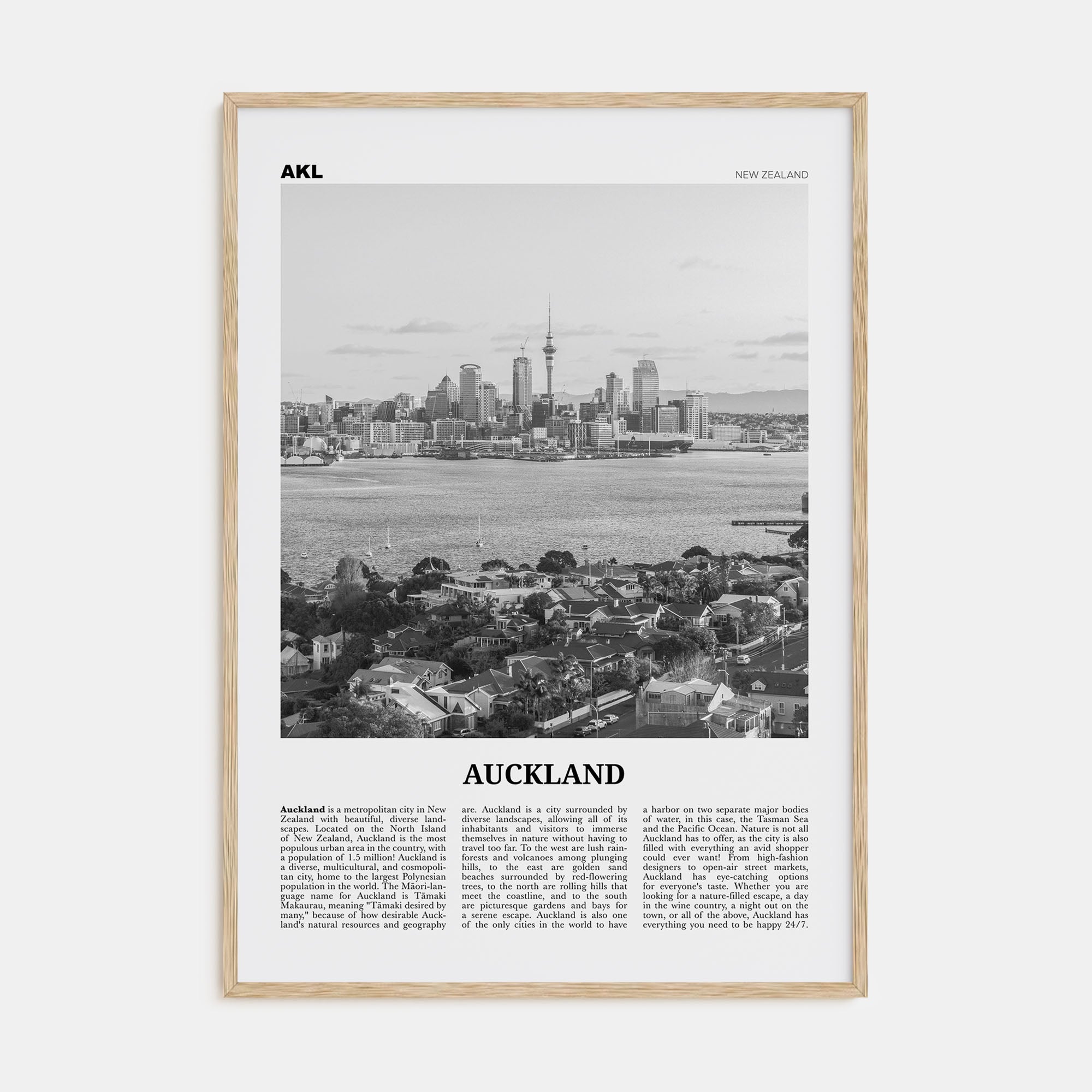 Auckland Travel B&W No 2 Poster