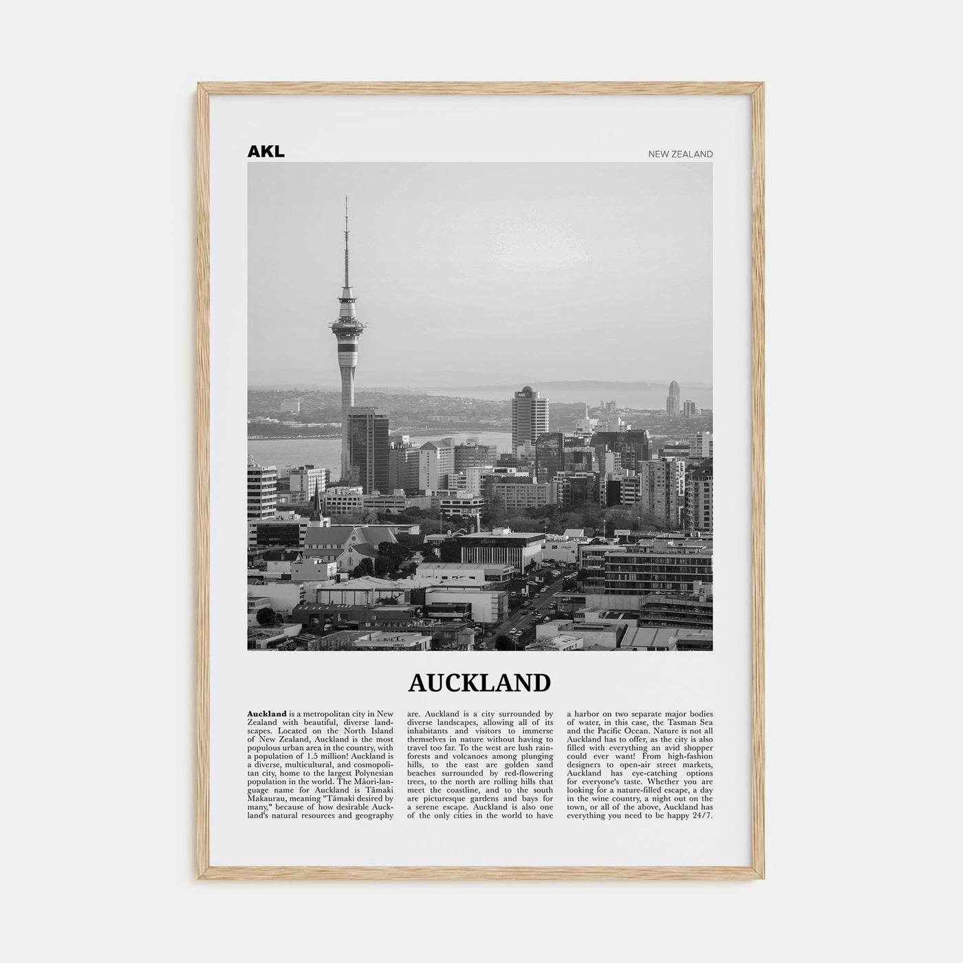 Auckland Travel B&W No 3 Poster