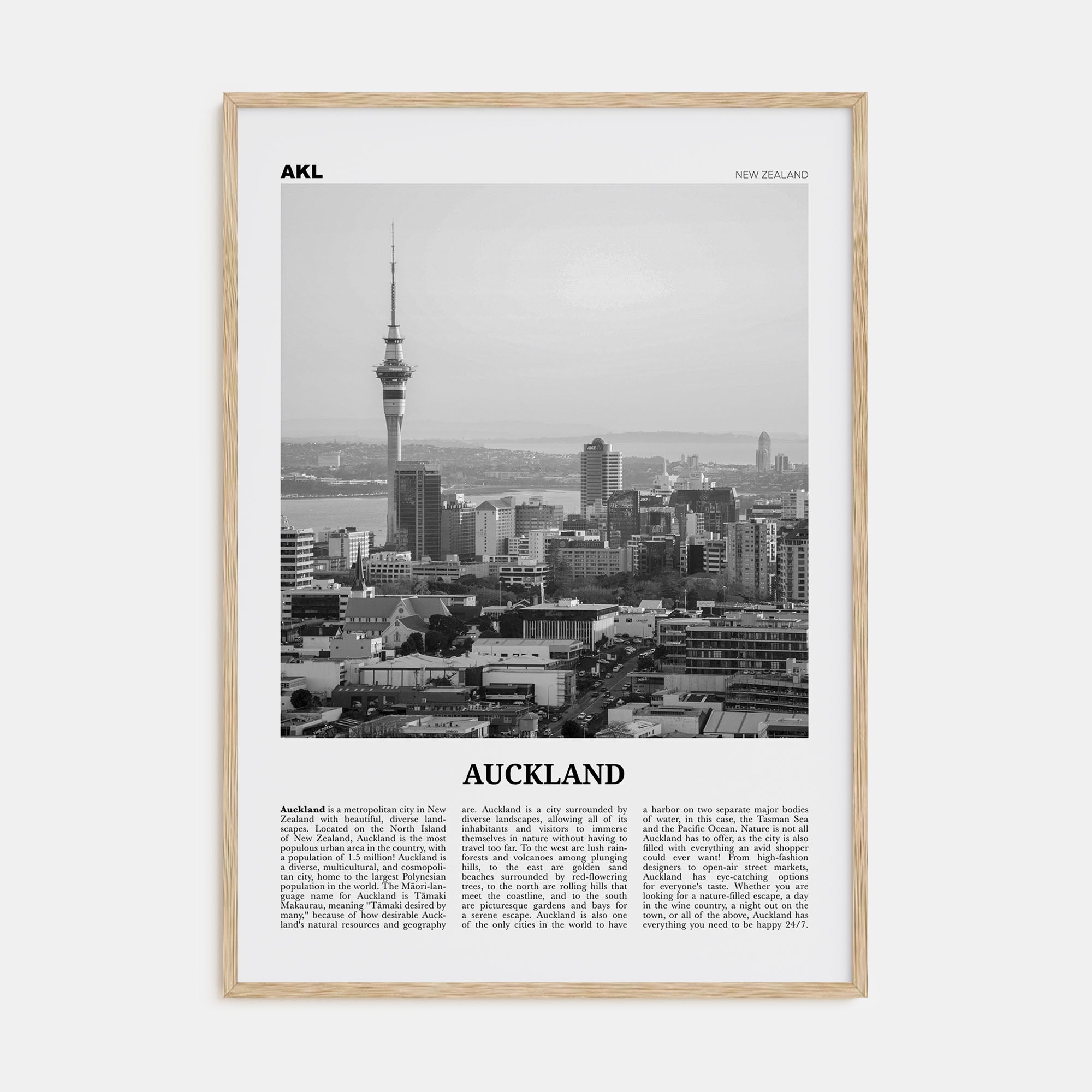 Auckland Travel B&W No 3 Poster
