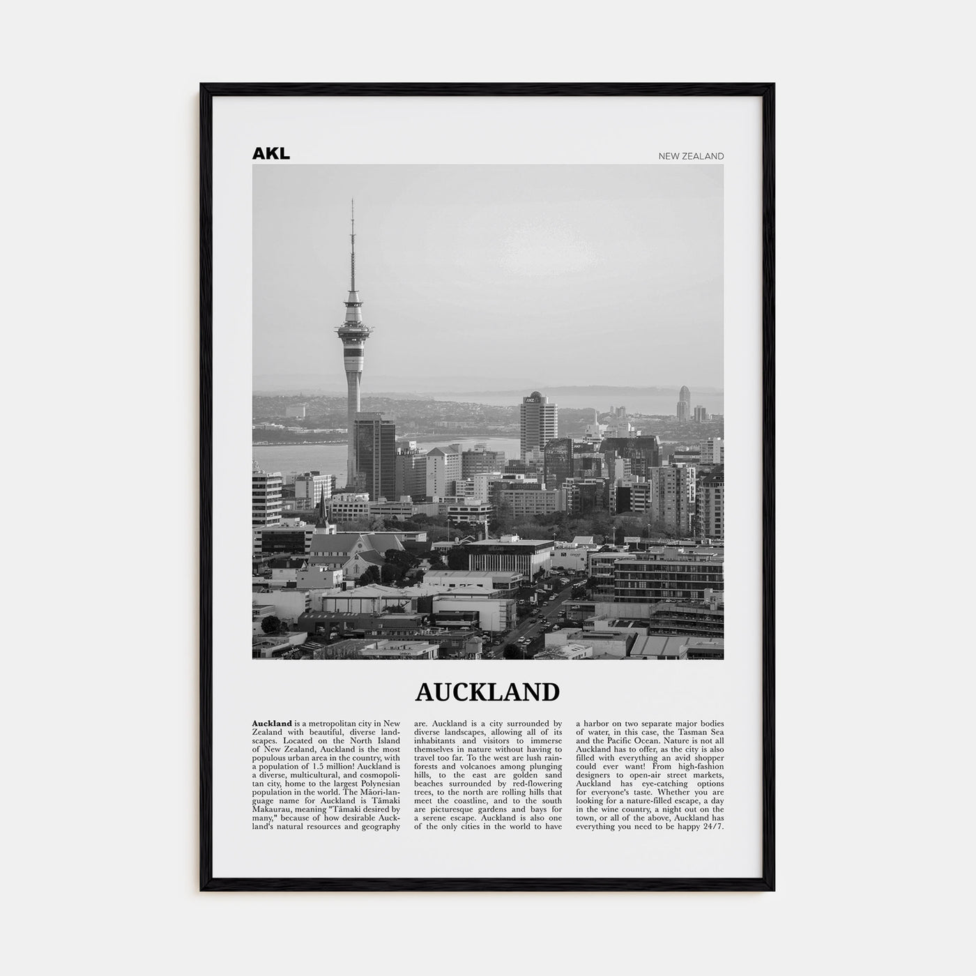 Auckland Travel B&W No 3 Poster