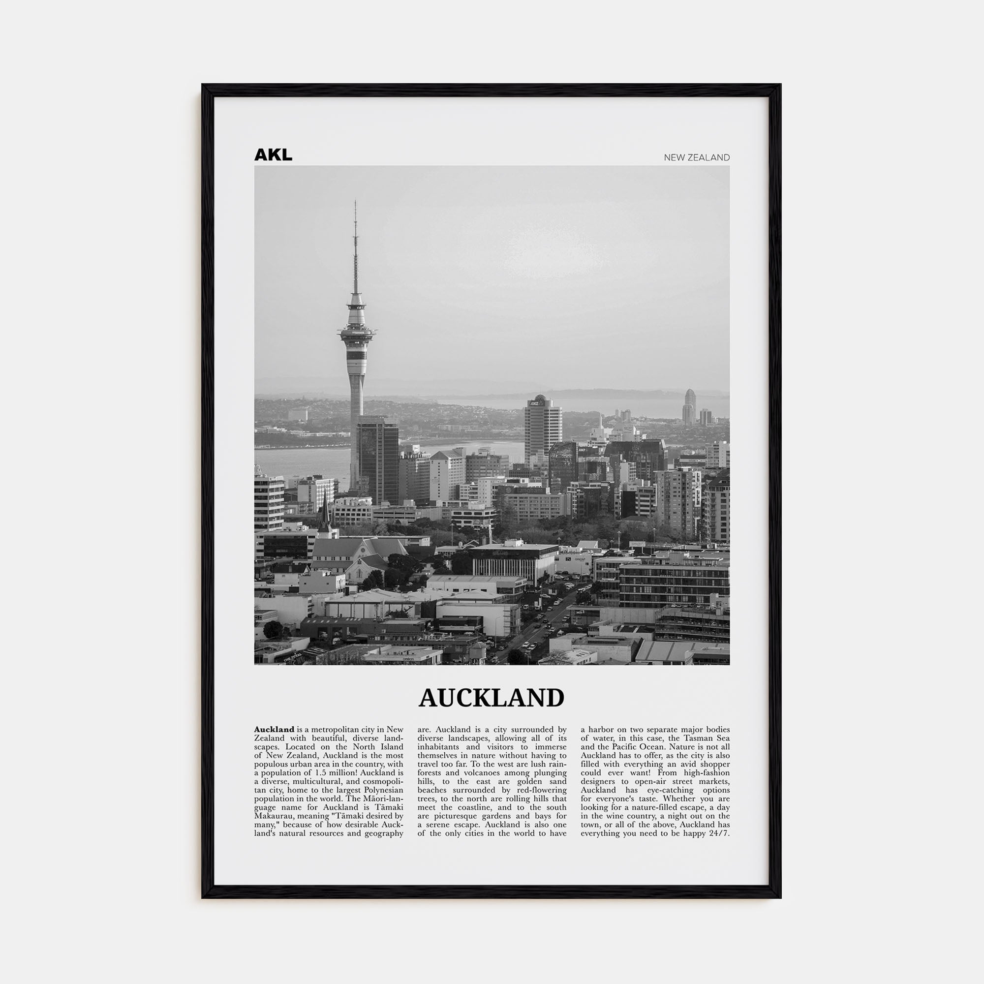 Auckland Travel B&W No 3 Poster