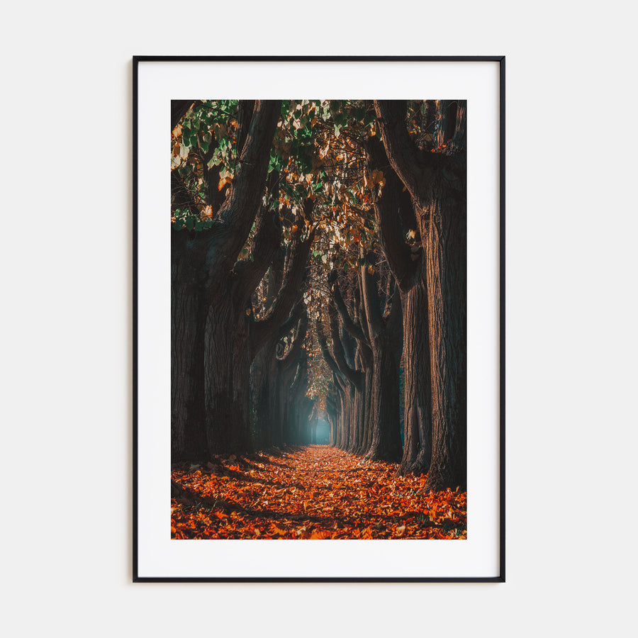 Autumn Morning Walk Photo Color Poster