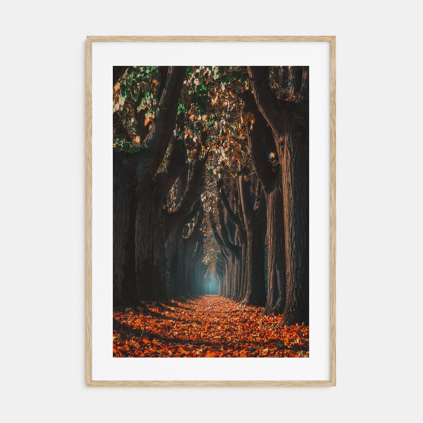 Autumn Morning Walk Photo Color Poster