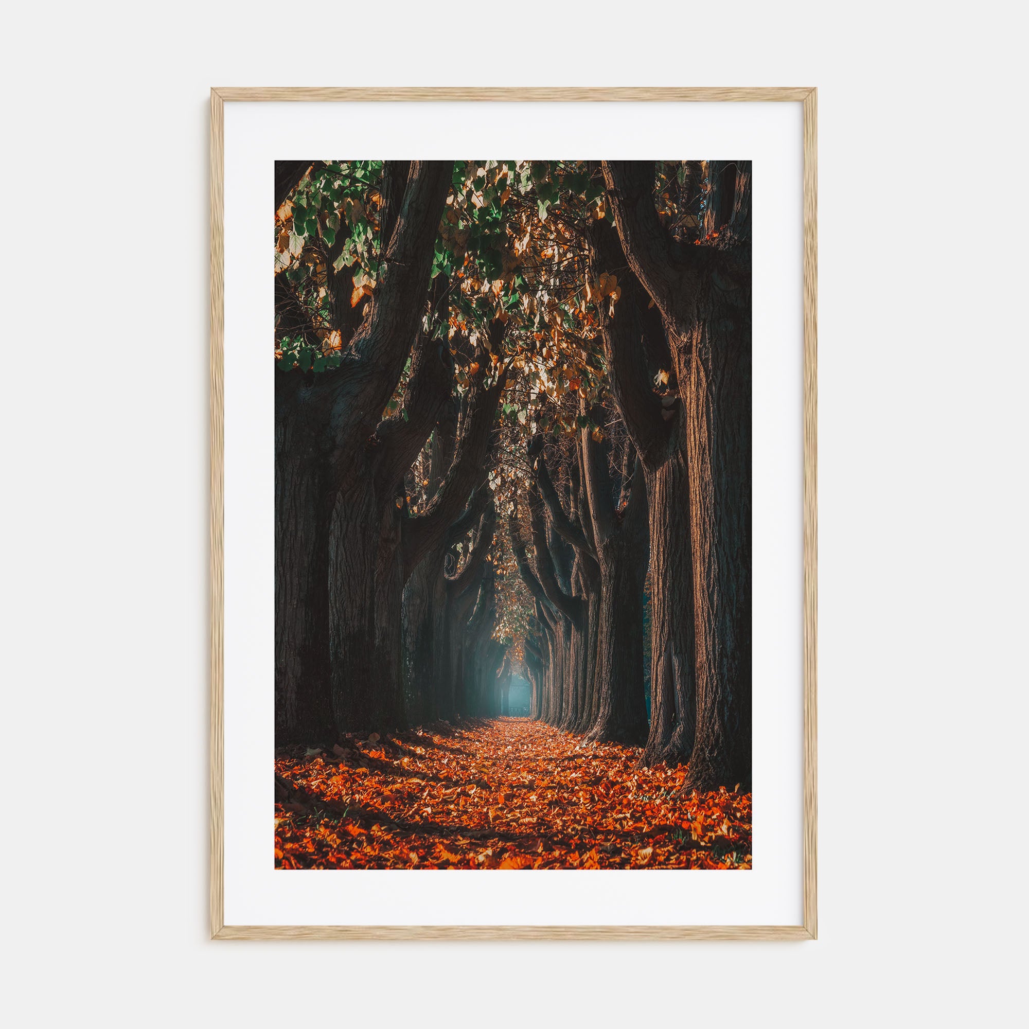 Autumn Morning Walk Photo Color Poster
