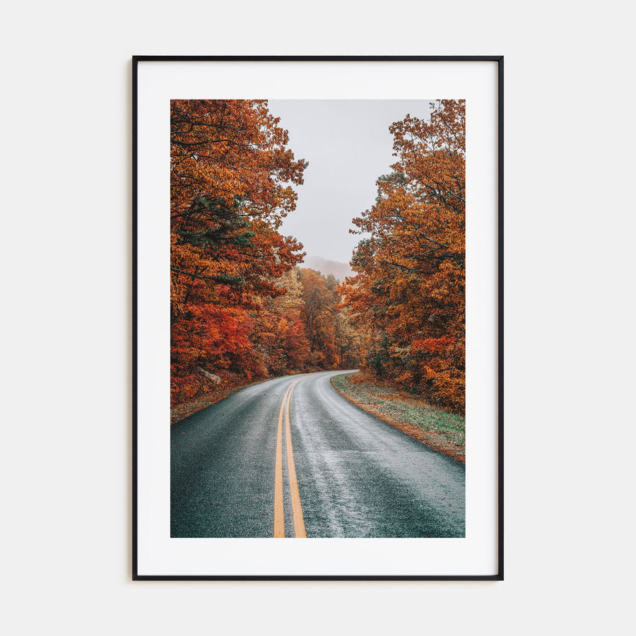 Autumn Road Photo Color No 1 Poster