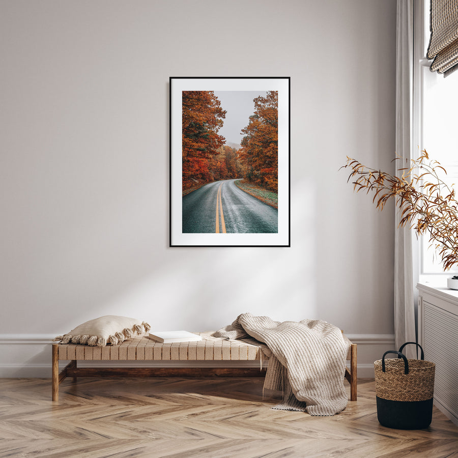 Autumn Road Photo Color No 1 Poster