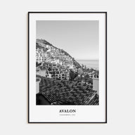 Avalon, California Portrait B&W Poster