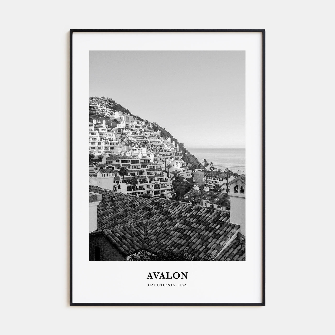 Avalon, California Portrait B&W Poster