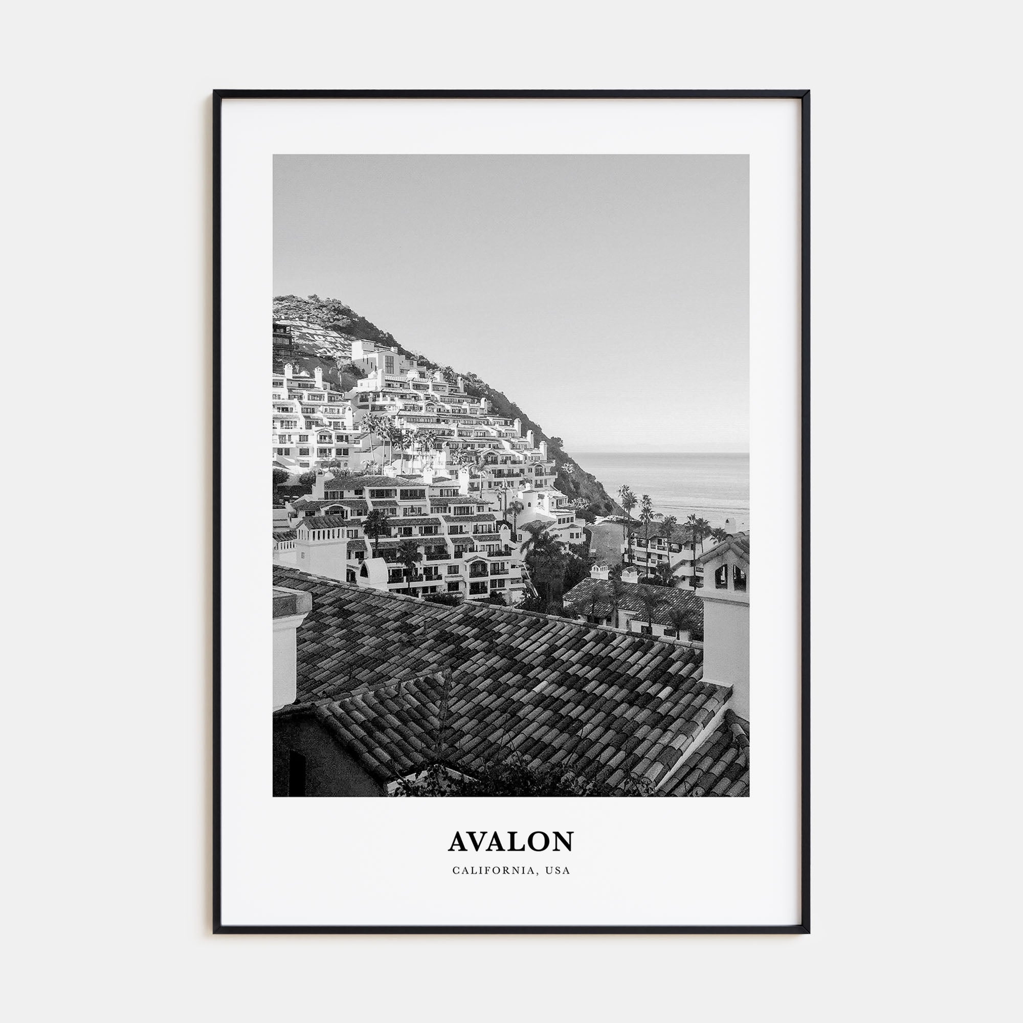 Avalon, California Portrait B&W Poster