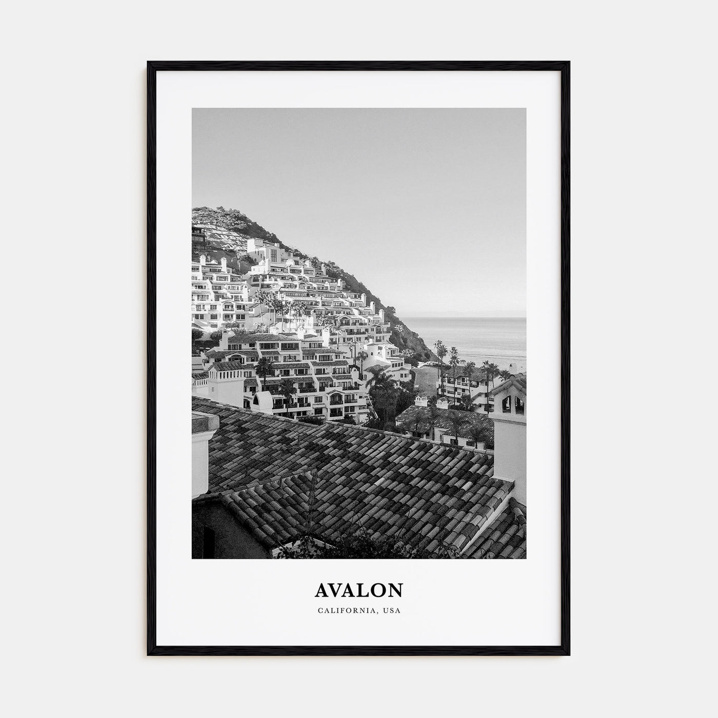 Avalon, California Portrait B&W Poster