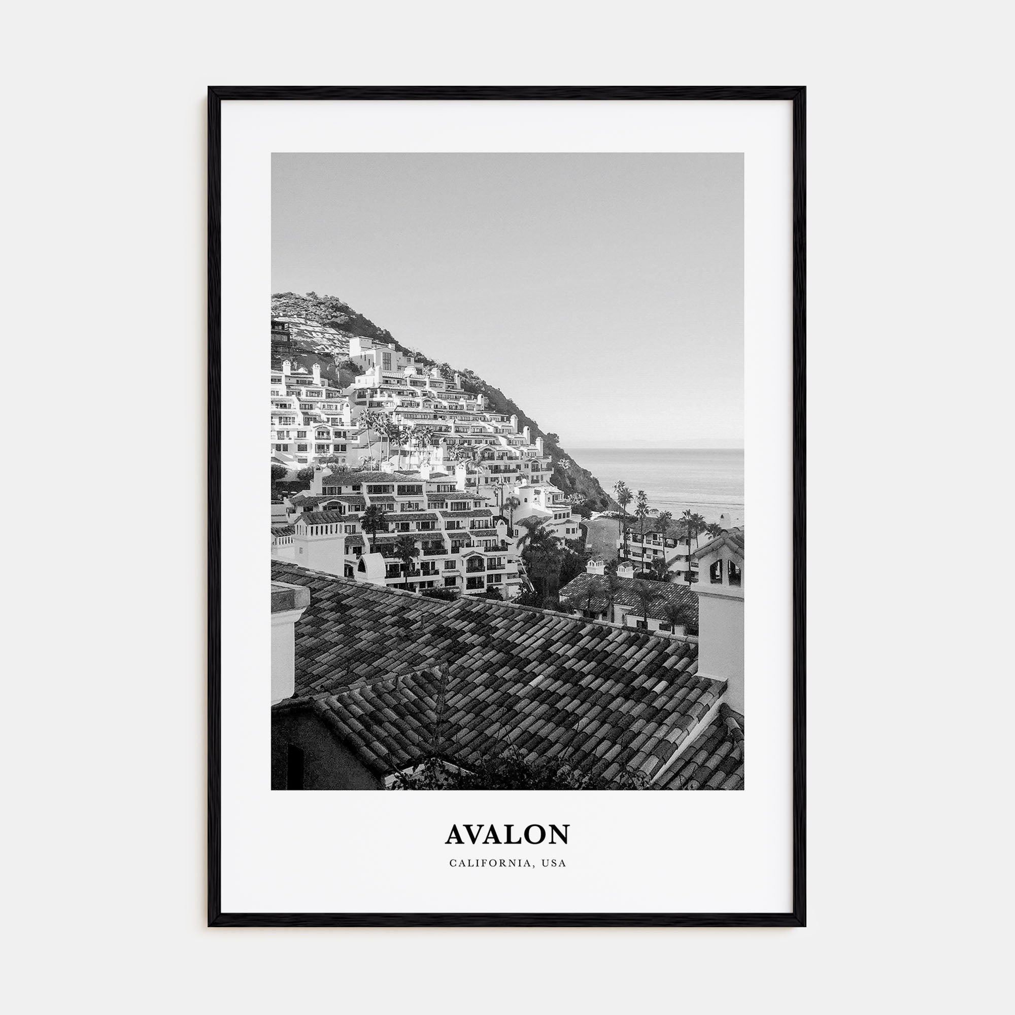 Avalon, California Portrait B&W Poster