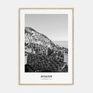 Avalon, California Portrait B&W Poster