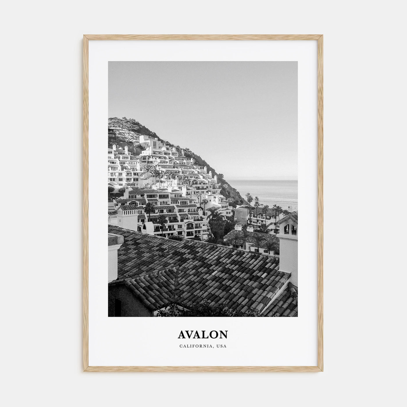 Avalon, California Portrait B&W Poster