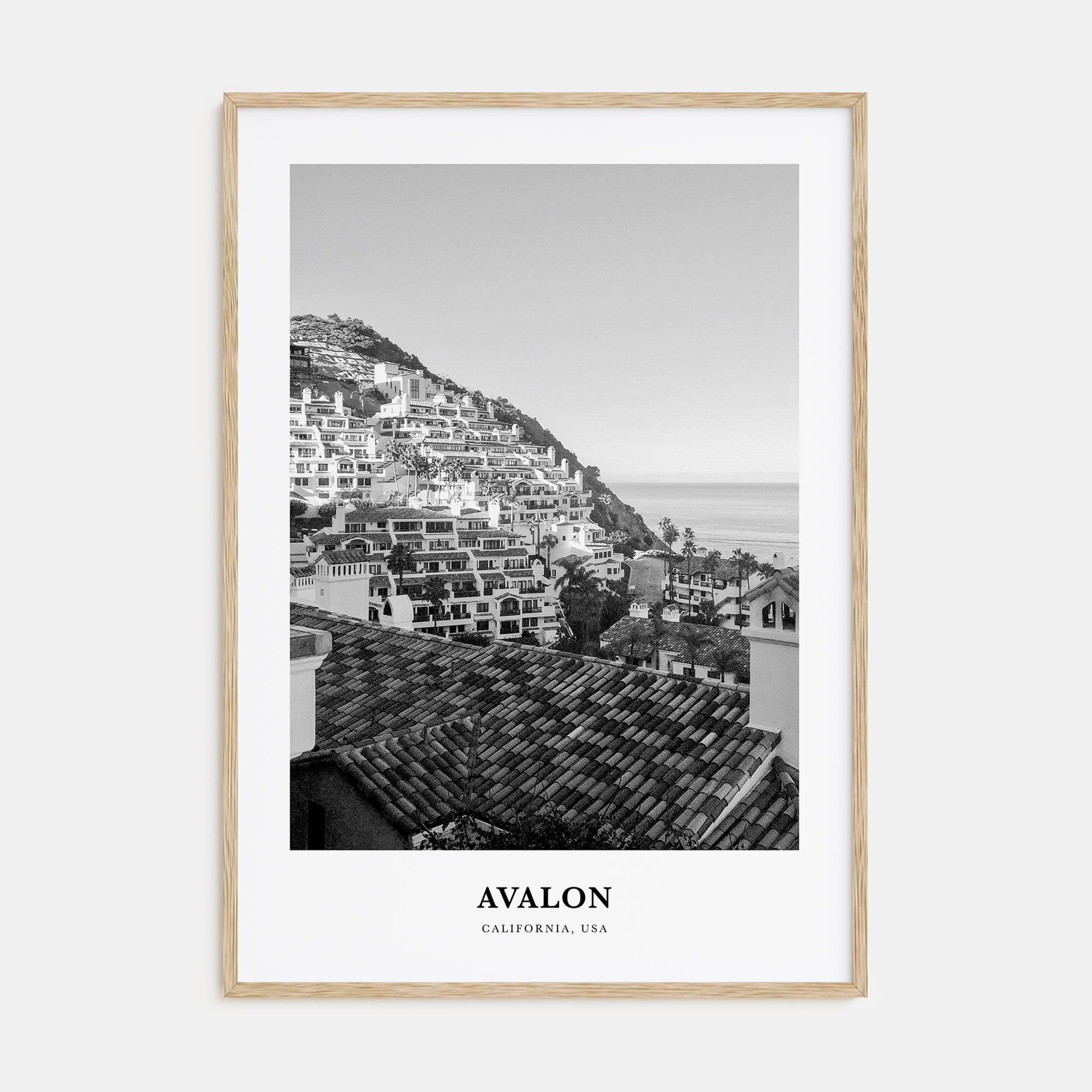 Avalon, California Portrait B&W Poster