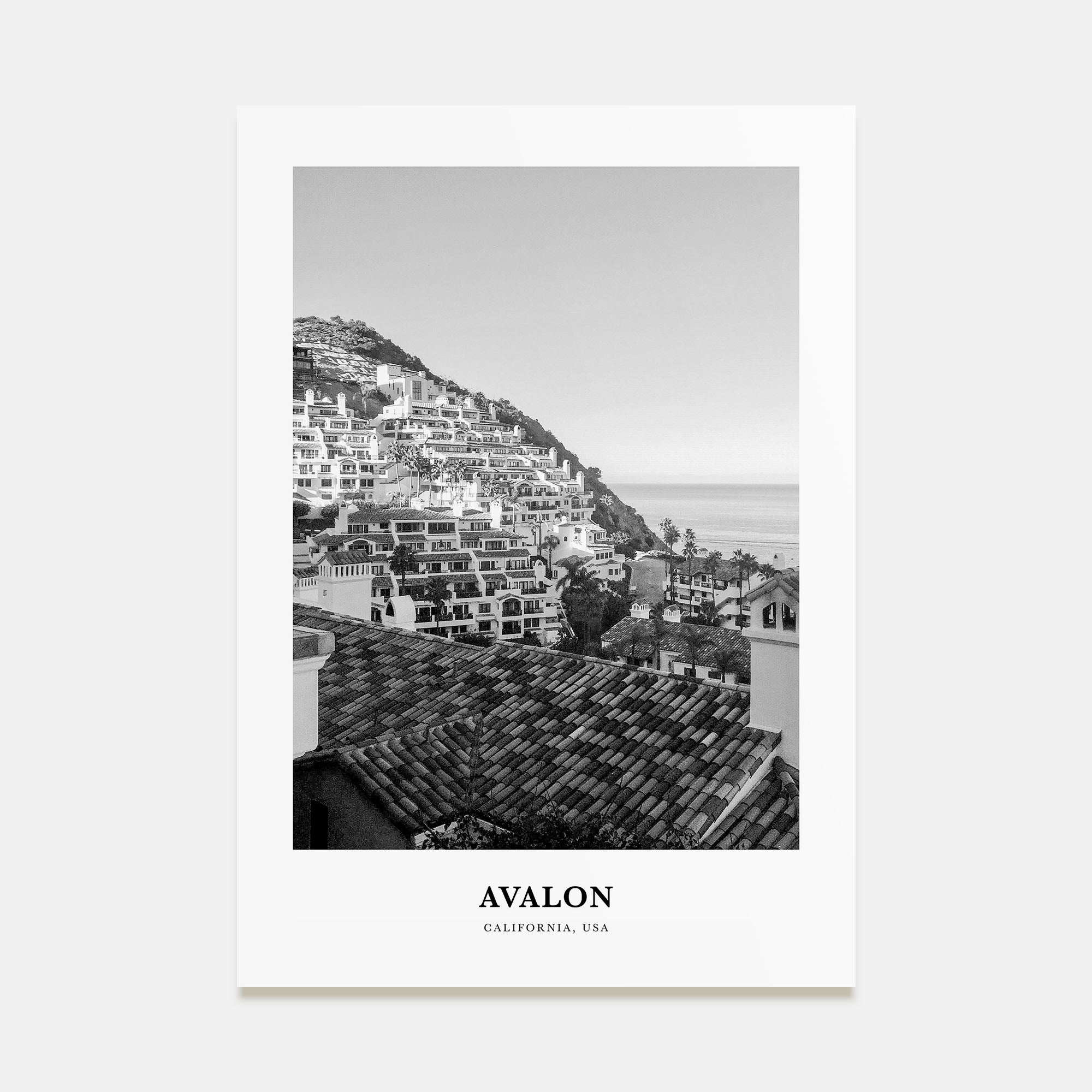 Avalon, California Portrait B&W Poster