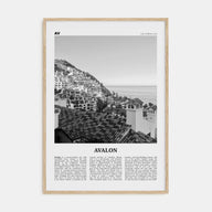 Avalon, California Travel B&W Poster
