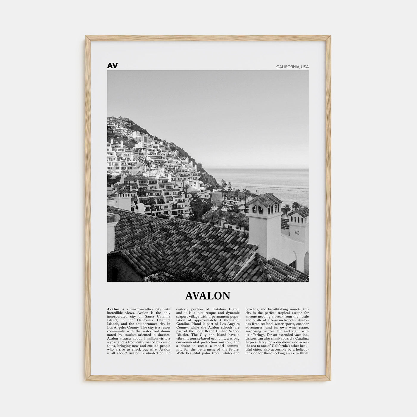 Avalon, California Travel B&W Poster