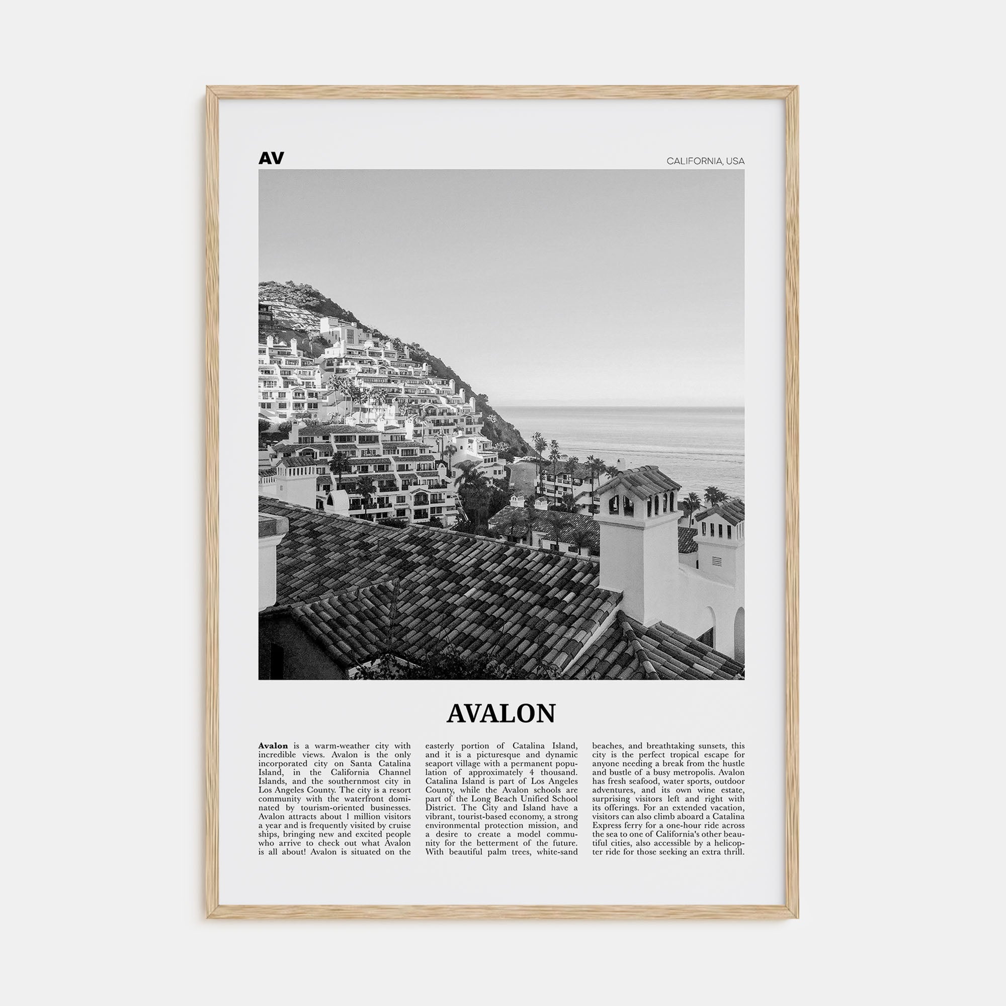 Avalon, California Travel B&W Poster