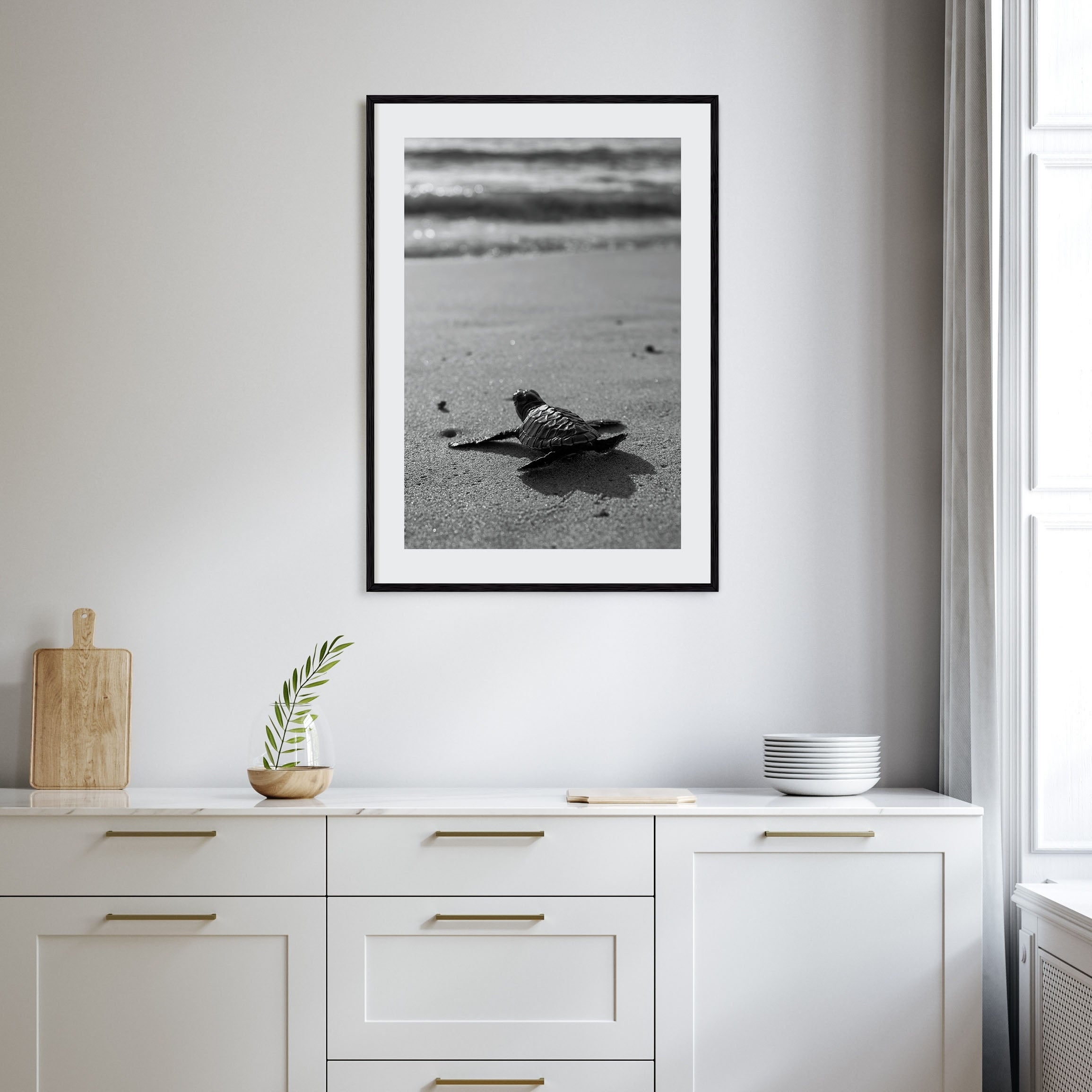Baby Turtle Photo B&W Poster
