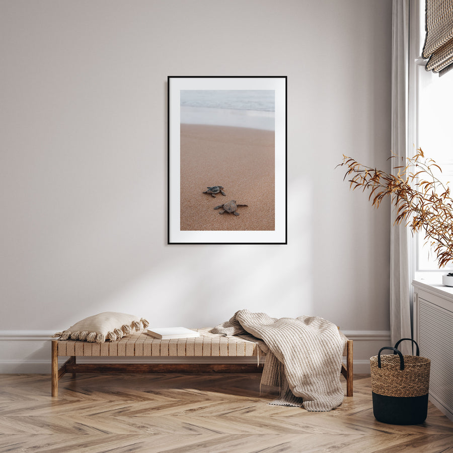 Baby Turtles Photo Color No 1 Poster