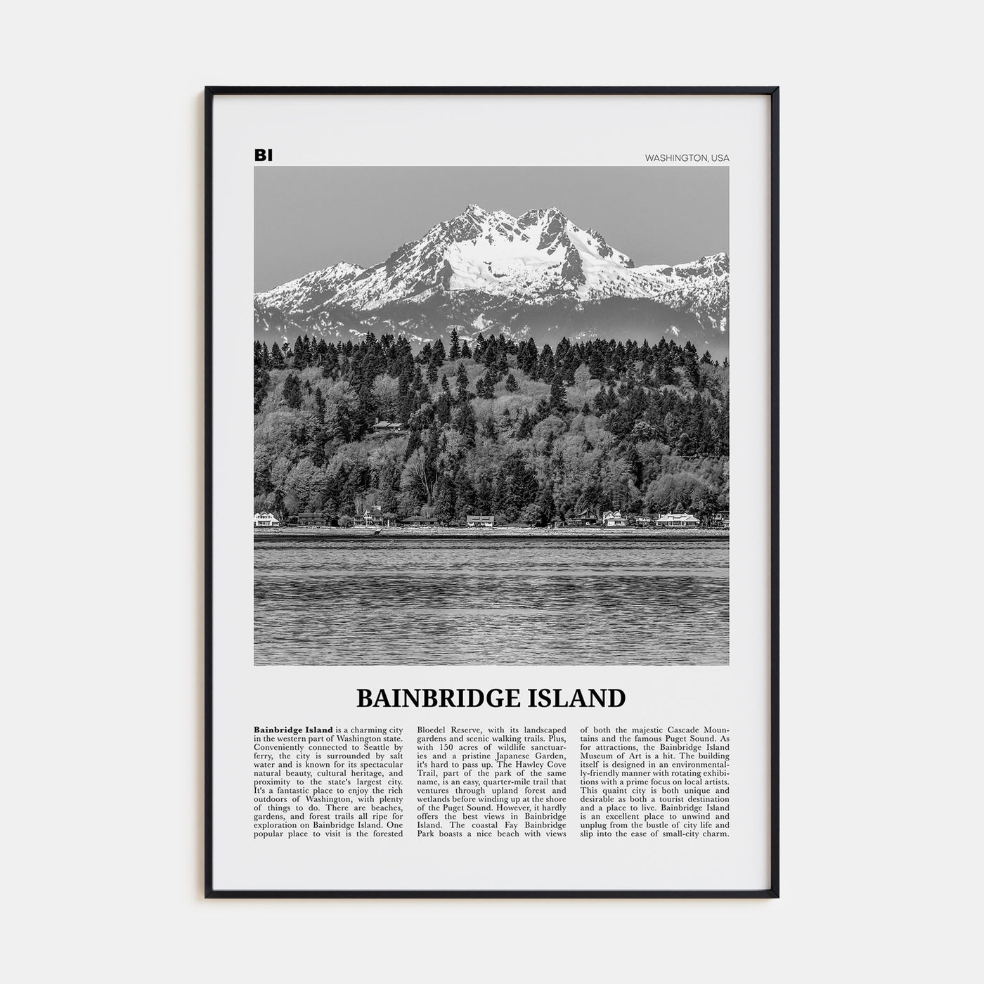 Bainbridge Island Travel B&W Poster