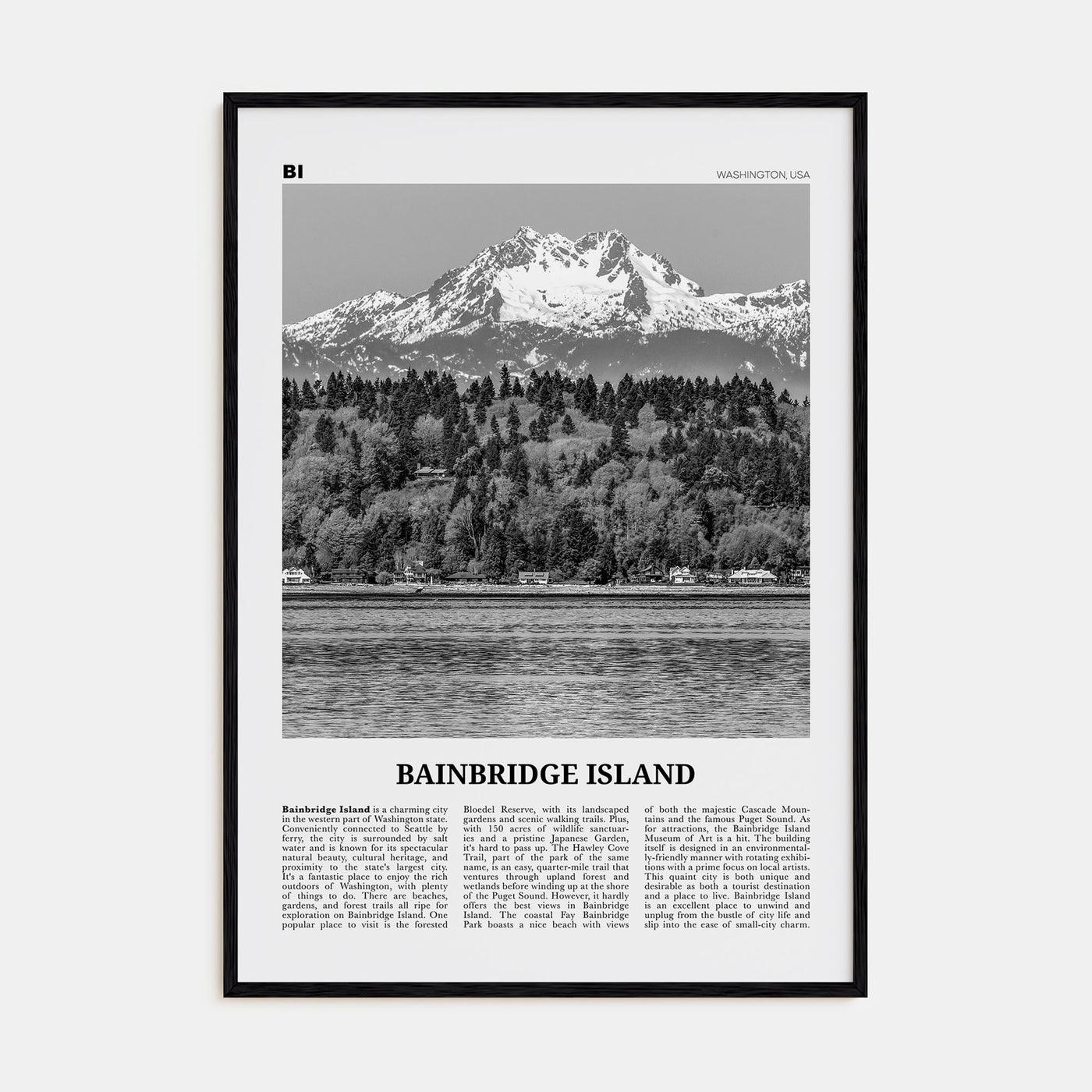 Bainbridge Island Travel B&W Poster