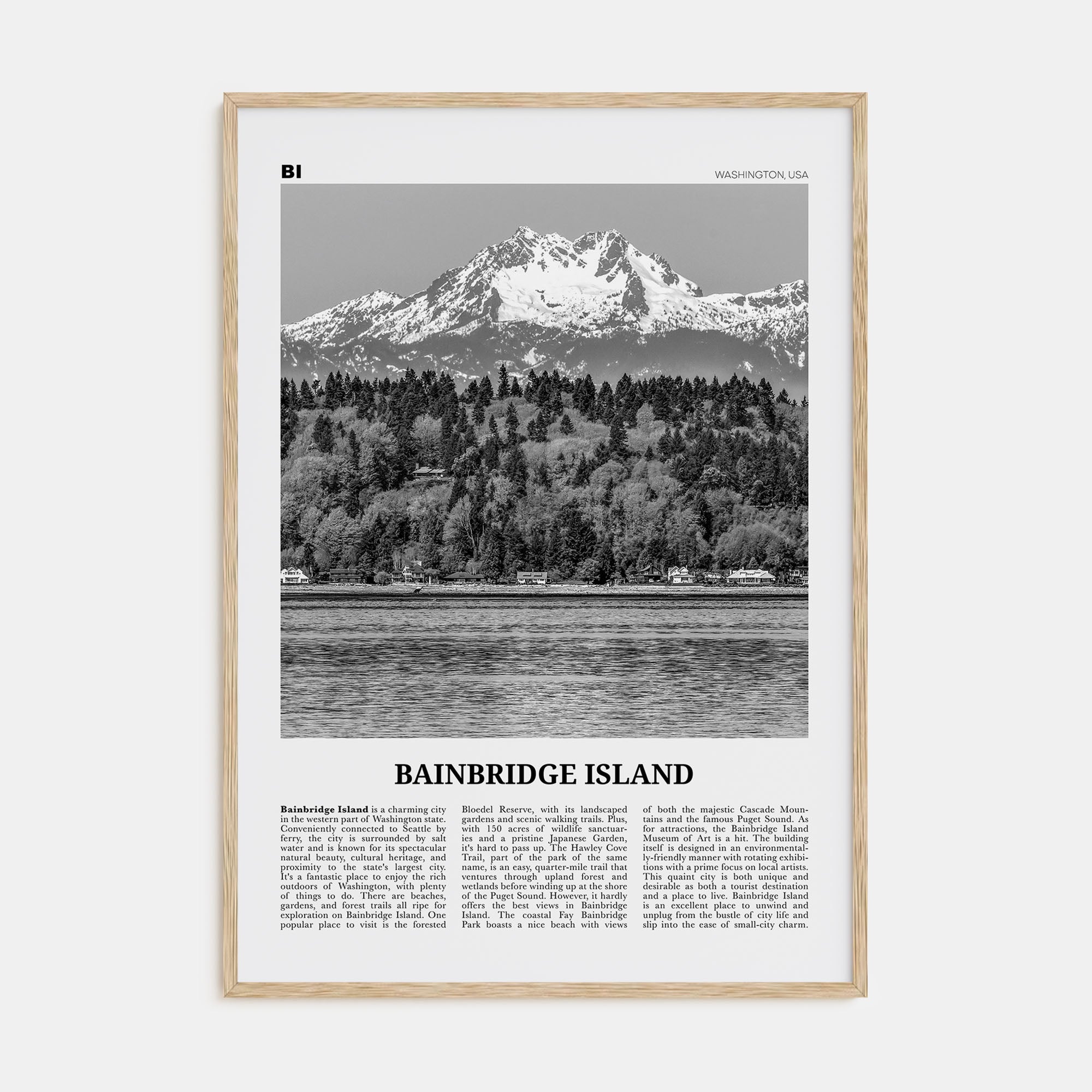 Bainbridge Island Travel B&W Poster