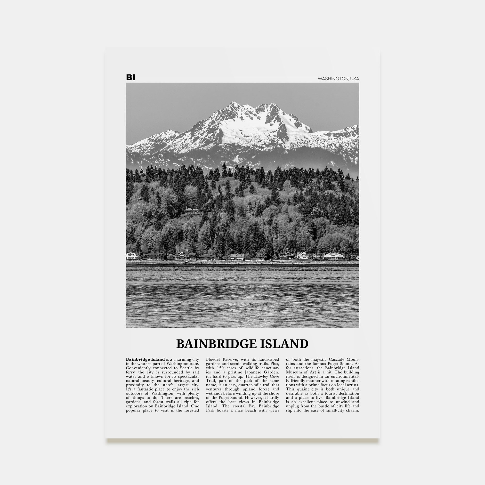 Bainbridge Island Travel B&W Poster