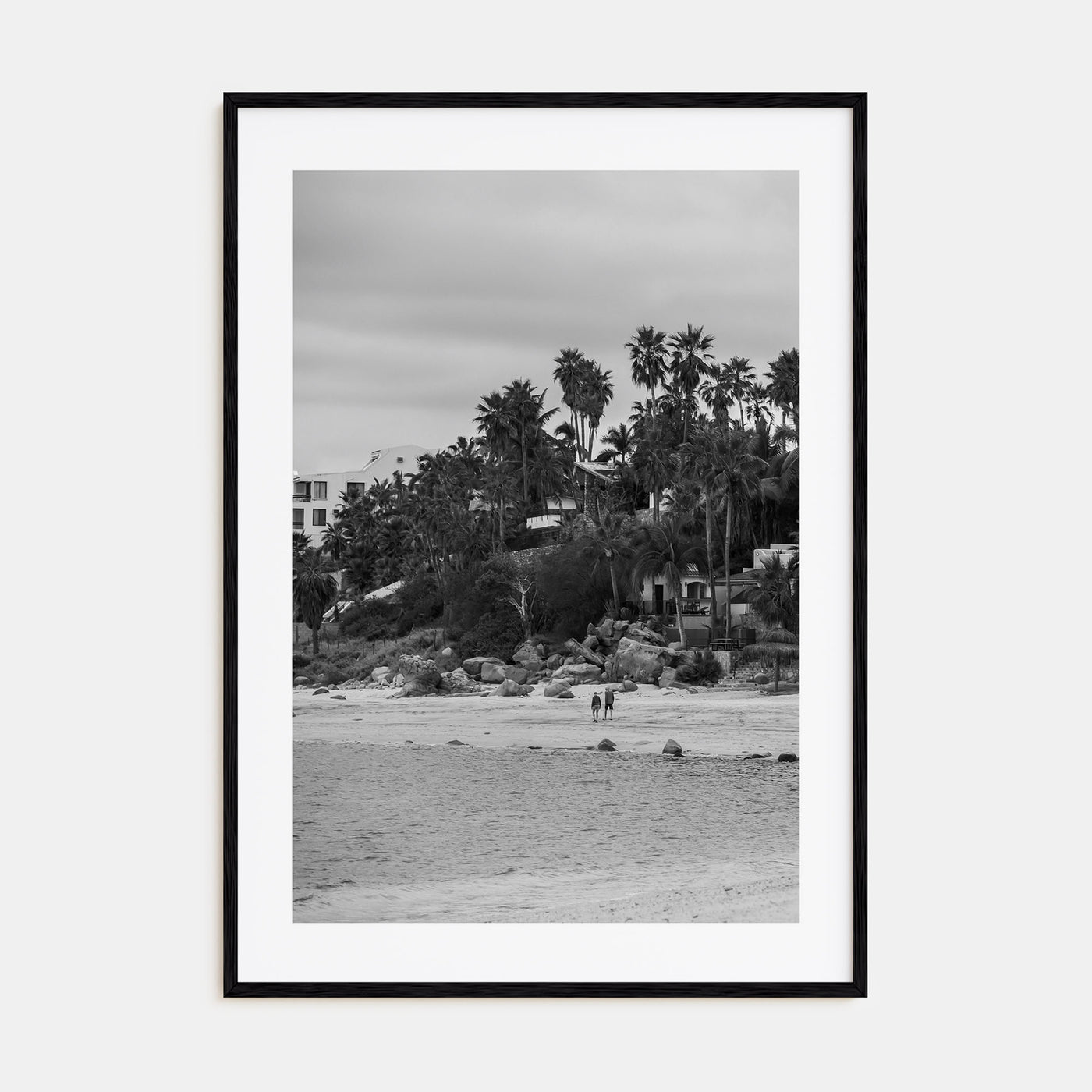 Baja California Sur Photo B&W Poster