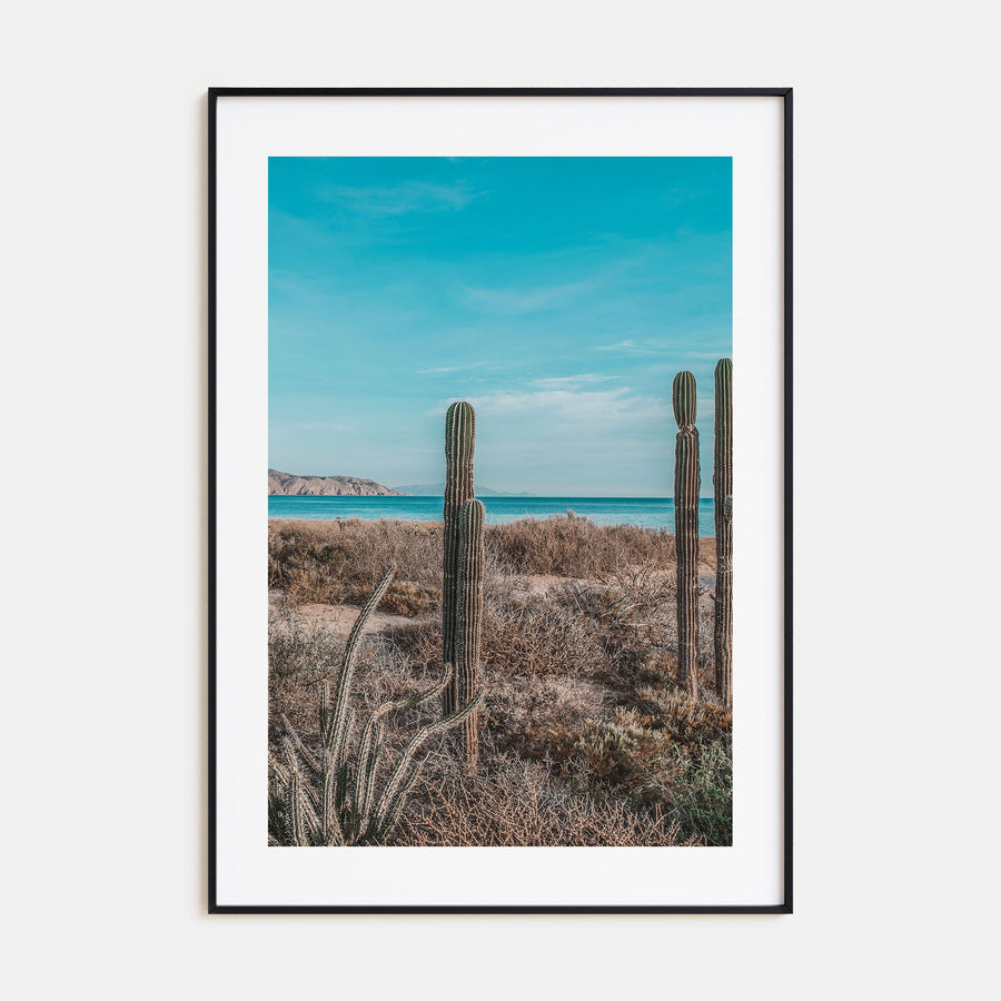 Baja California Sur Photo Color No 1 Poster