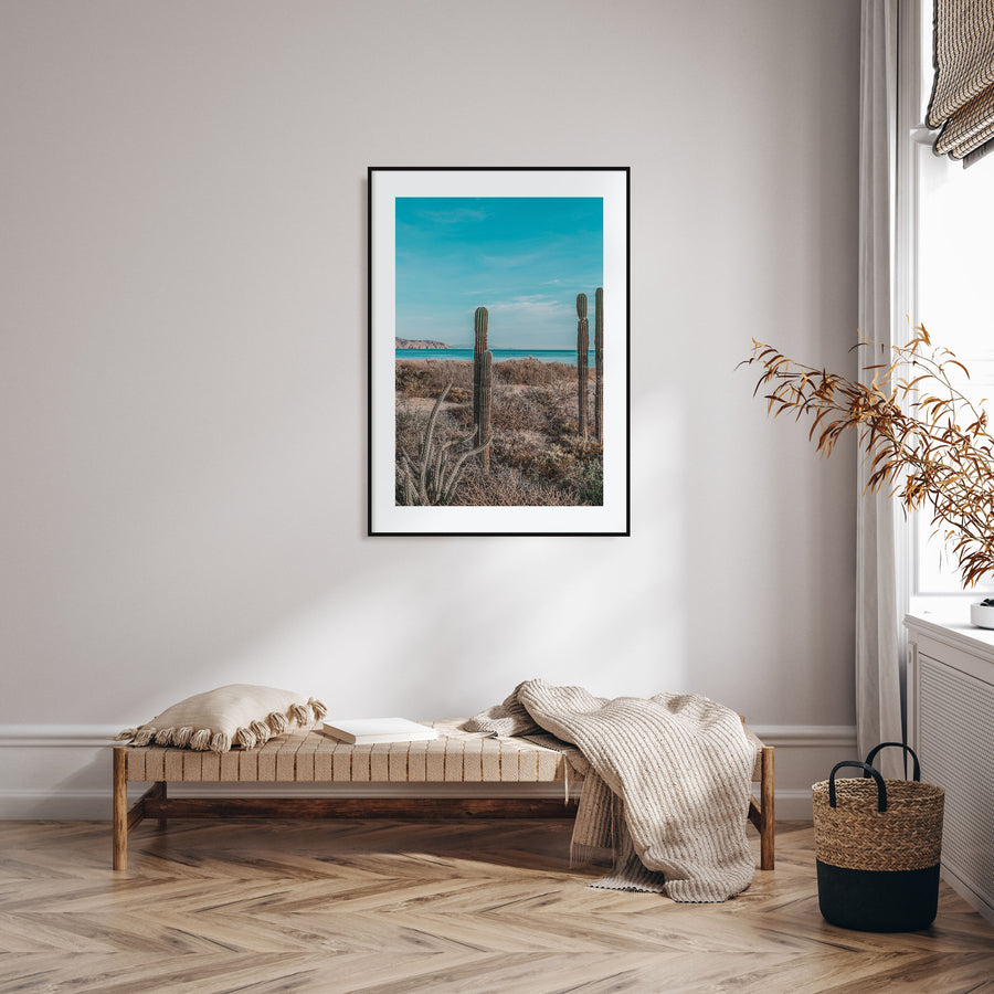 Baja California Sur Photo Color No 1 Poster