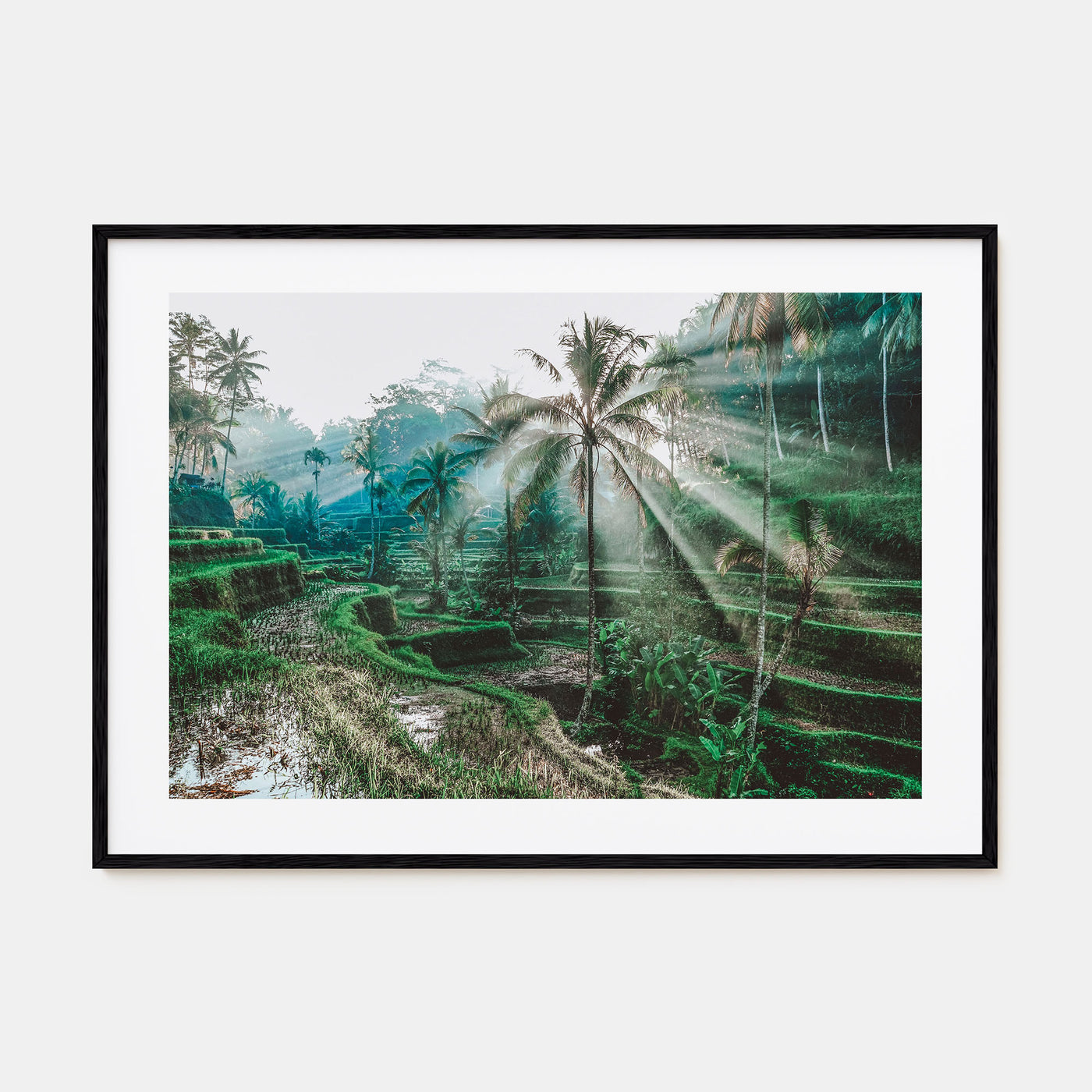 Bali Landscape Color Poster