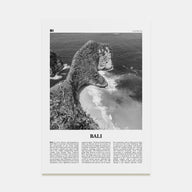 Bali Travel B&W No 3 Poster