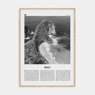 Bali Travel B&W No 3 Poster