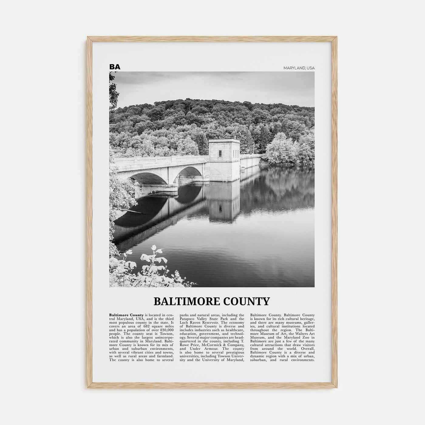 Baltimore County Travel B&W Poster