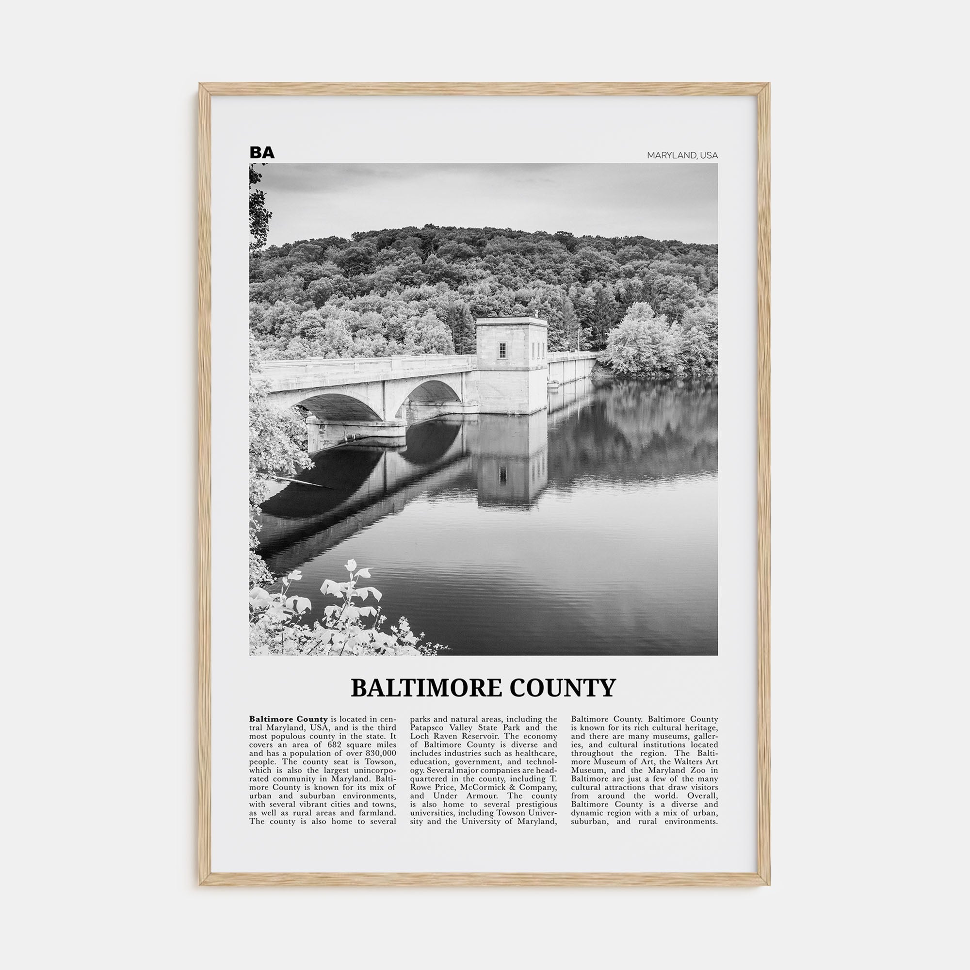 Baltimore County Travel B&W Poster
