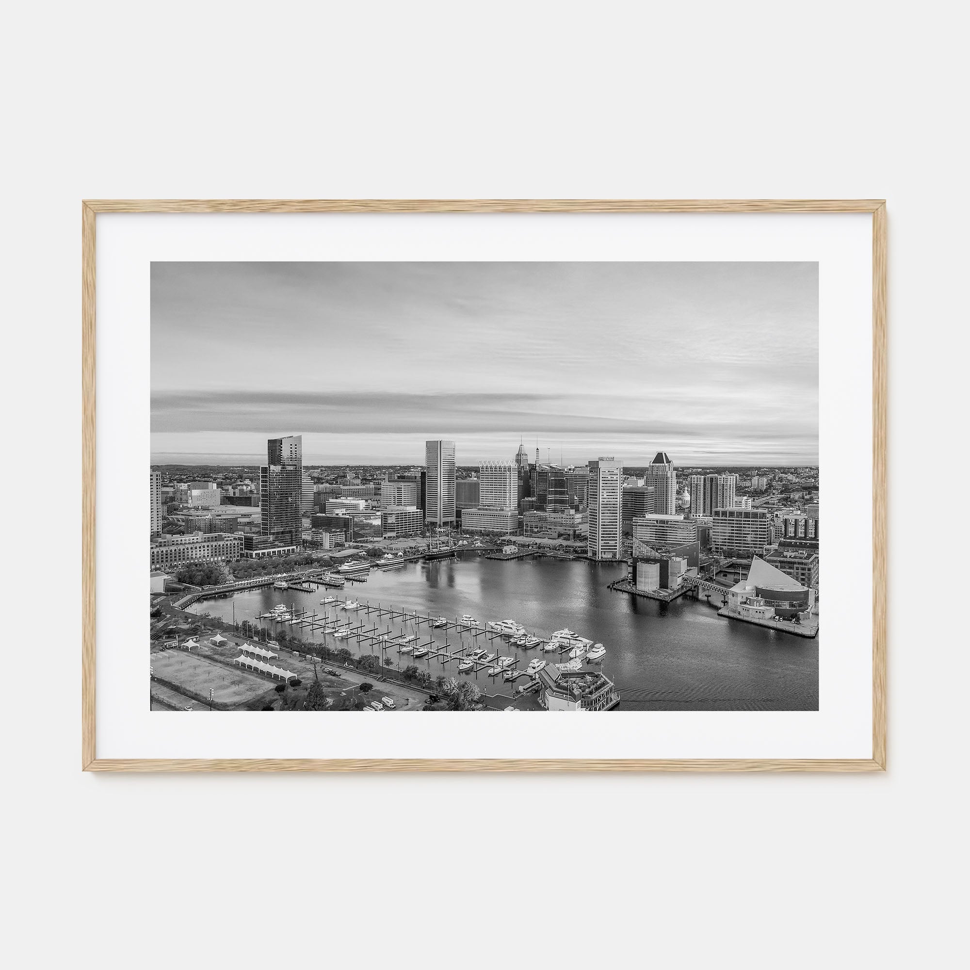 Baltimore Landscape B&W Poster