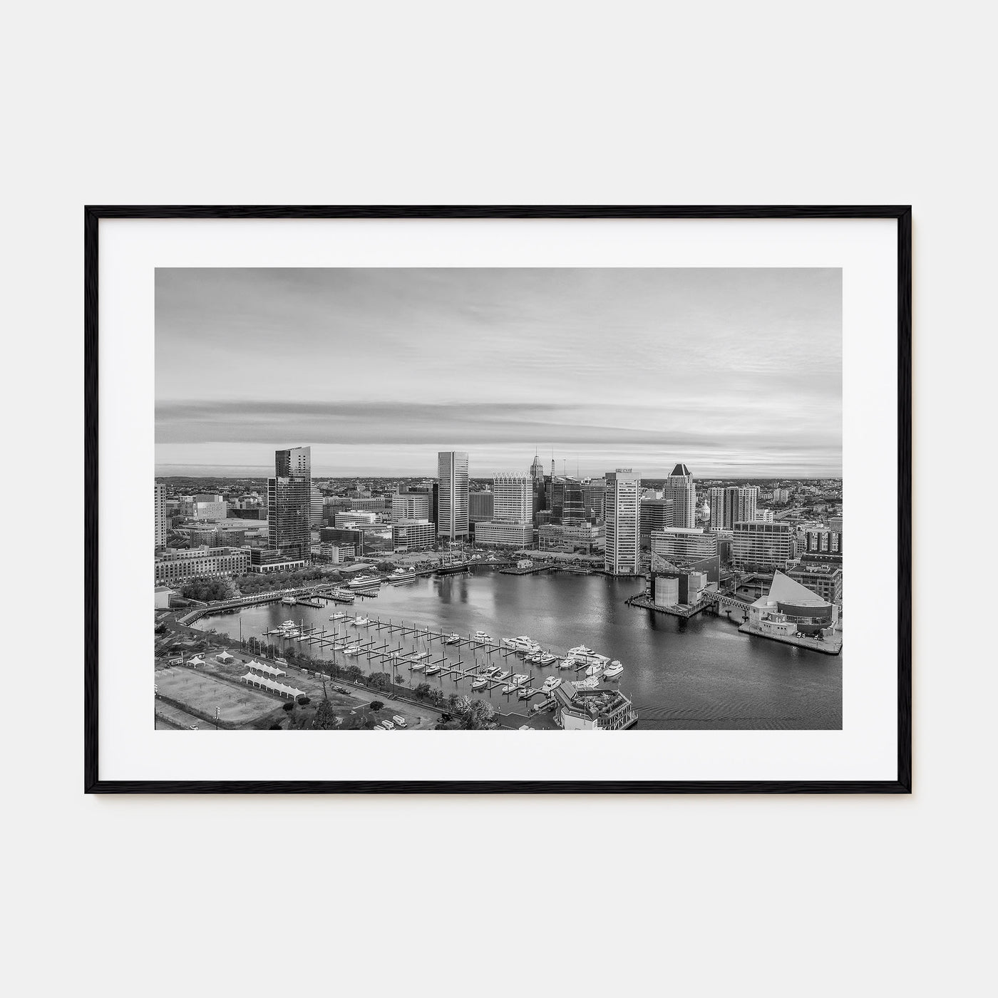 Baltimore Landscape B&W Poster