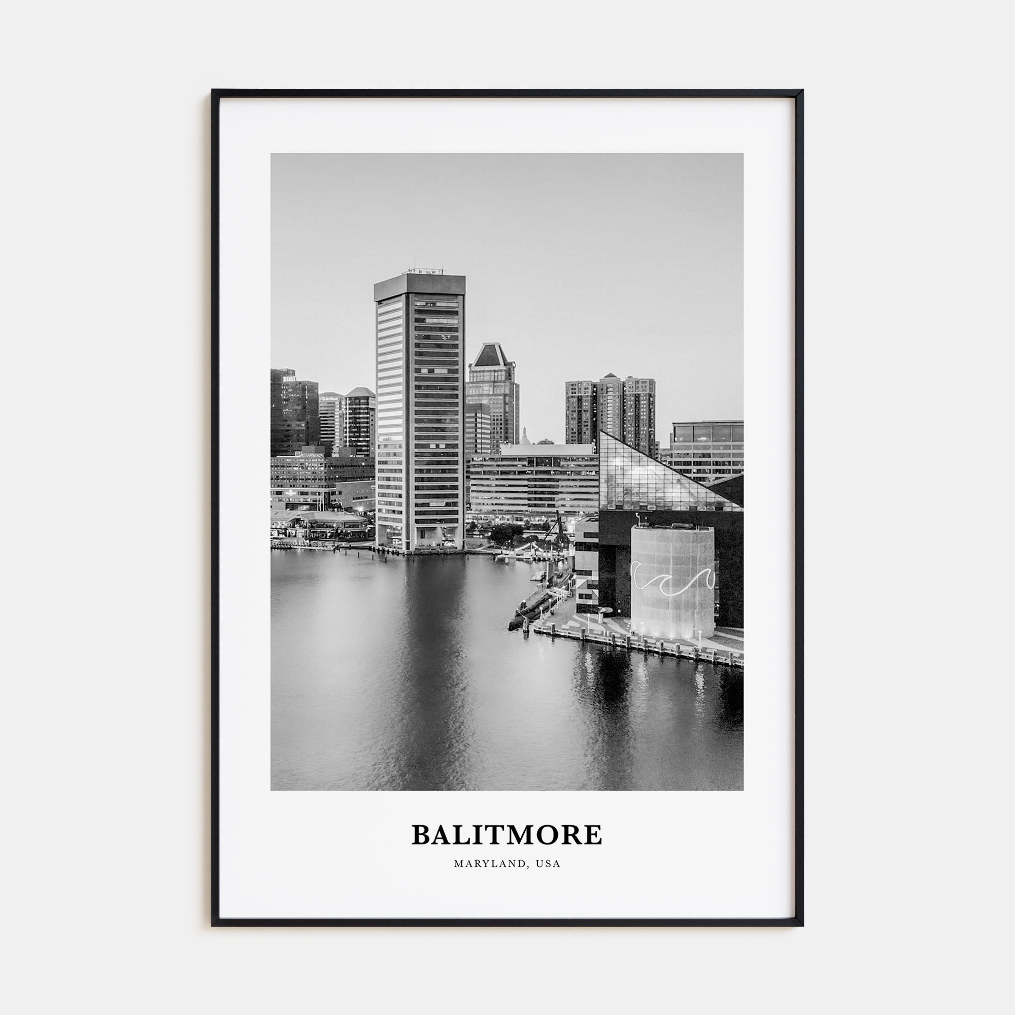 Baltimore Portrait B&W No 3 Poster