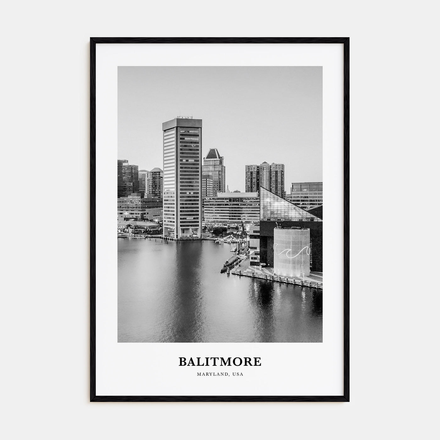 Baltimore Portrait B&W No 3 Poster