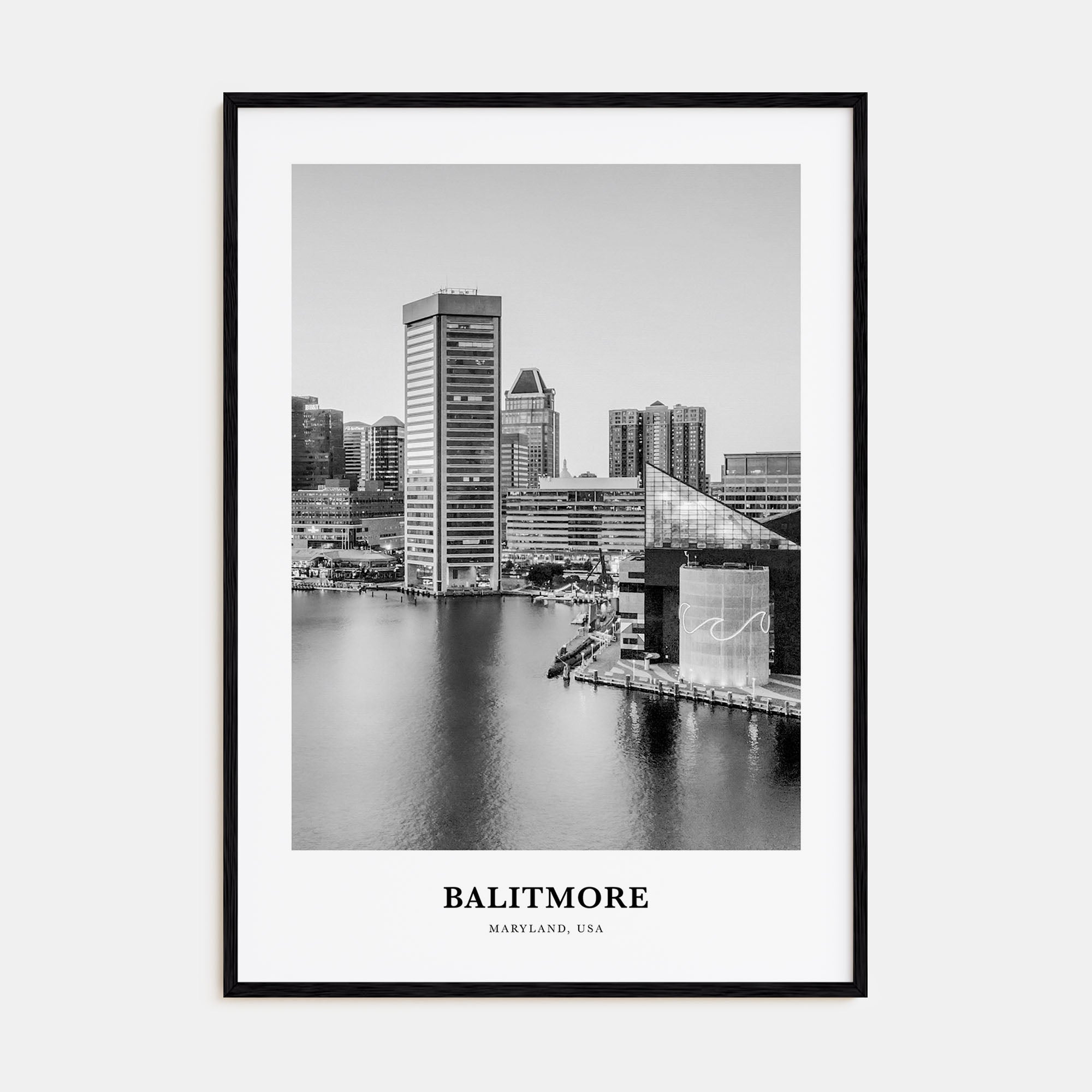 Baltimore Portrait B&W No 3 Poster