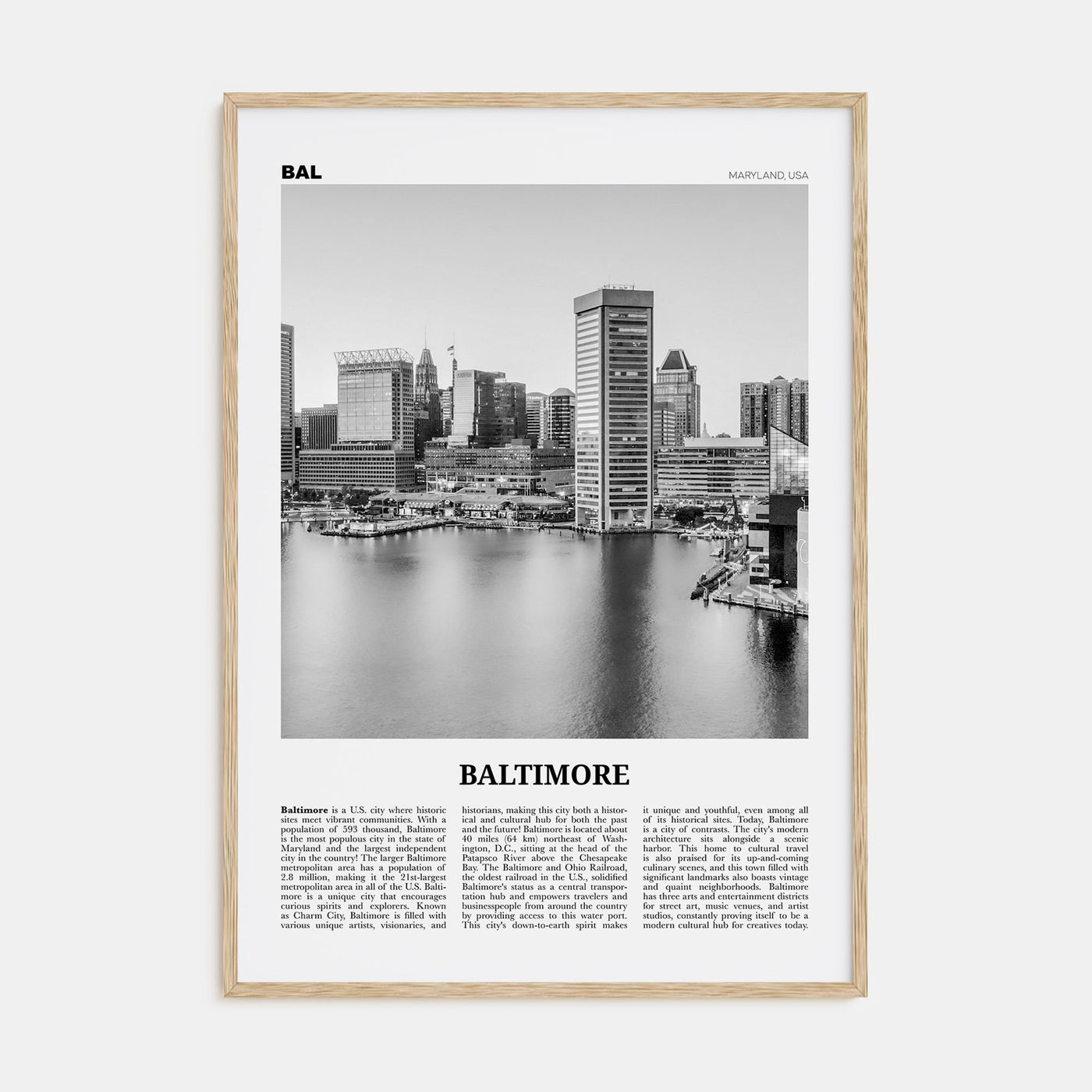 Baltimore Travel B&W No 1 Poster
