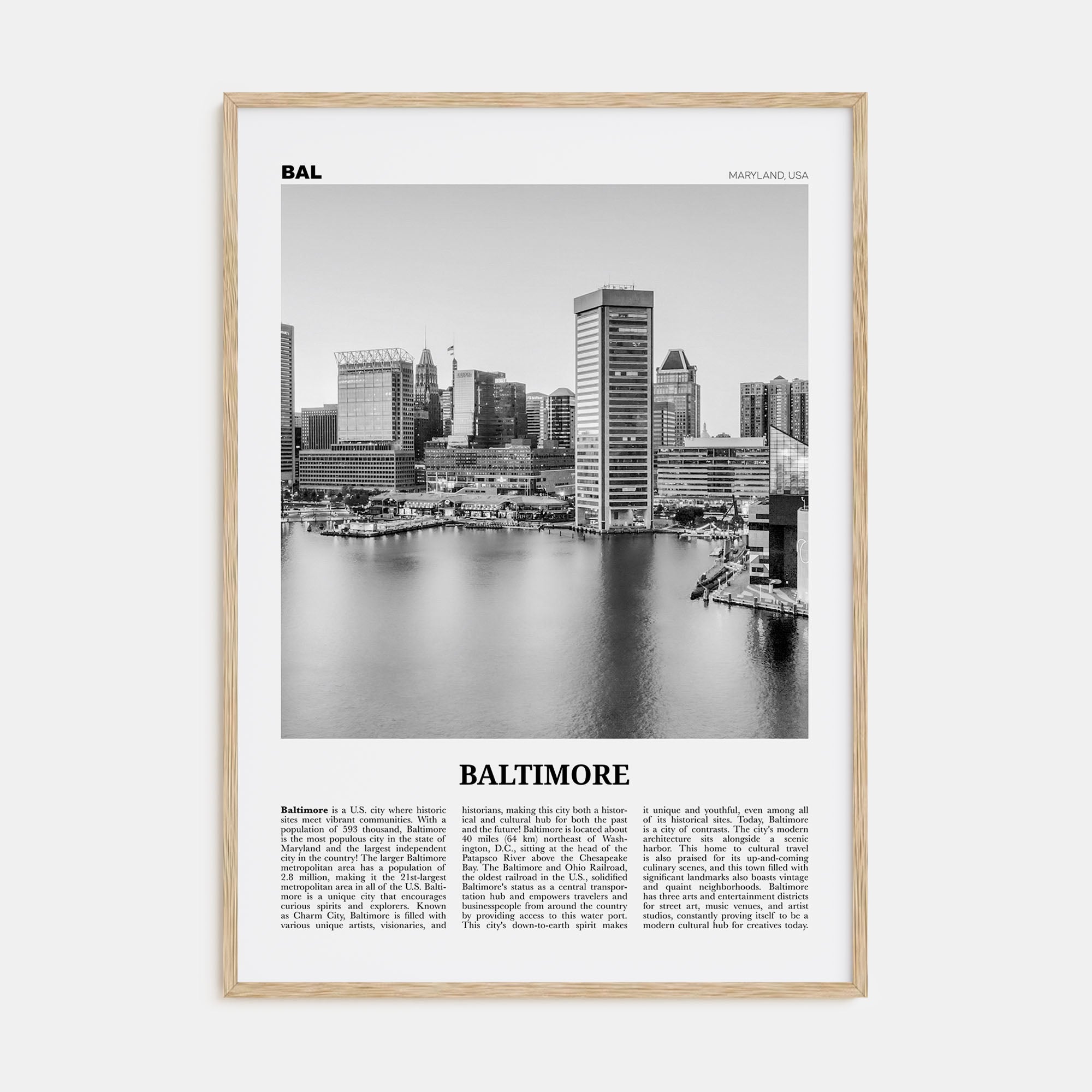 Baltimore Travel B&W No 1 Poster