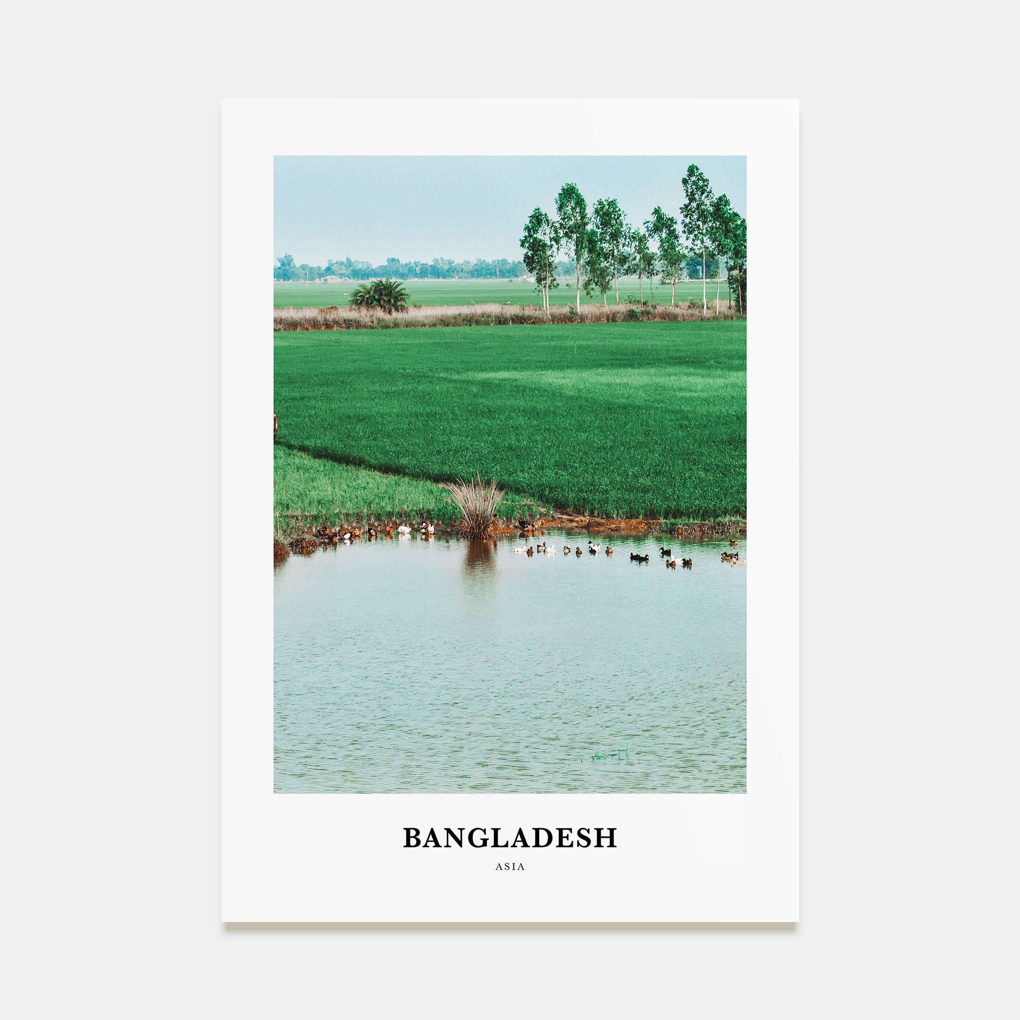 Bangladesh Portrait Color Poster
