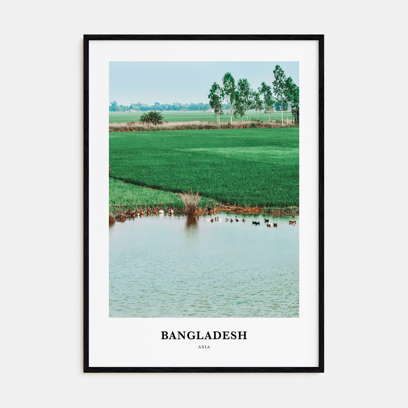 Bangladesh Portrait Color Poster