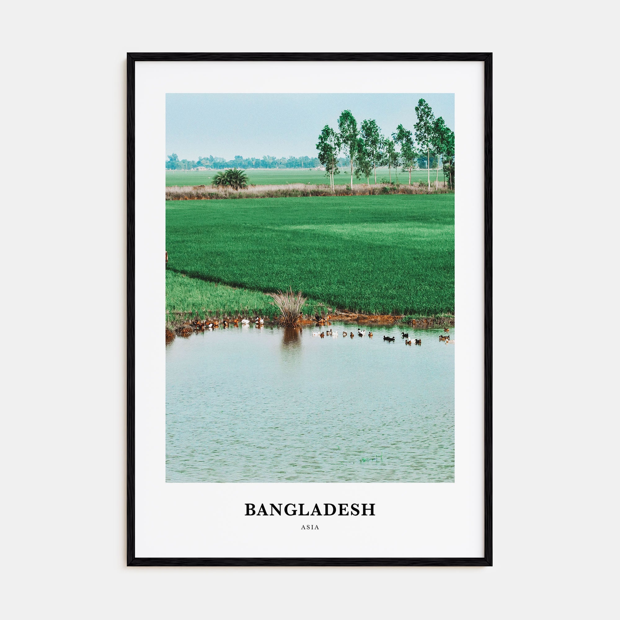 Bangladesh Portrait Color Poster