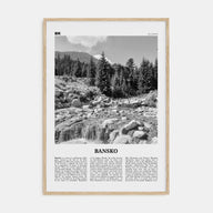 Bansko Travel B&W Poster