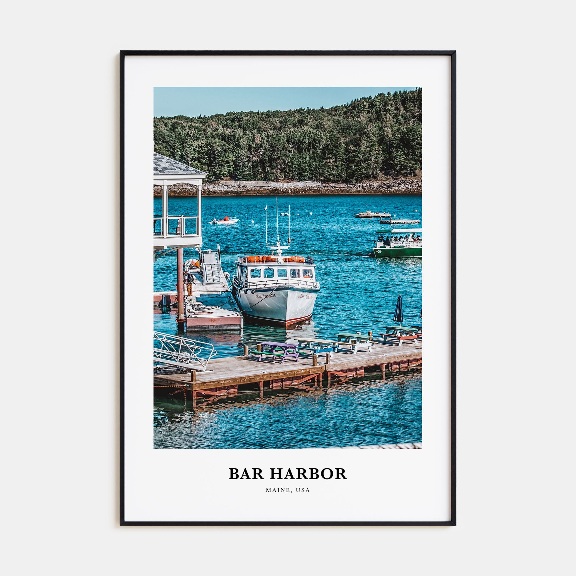 Bar Harbor Portrait Color No 2 Poster
