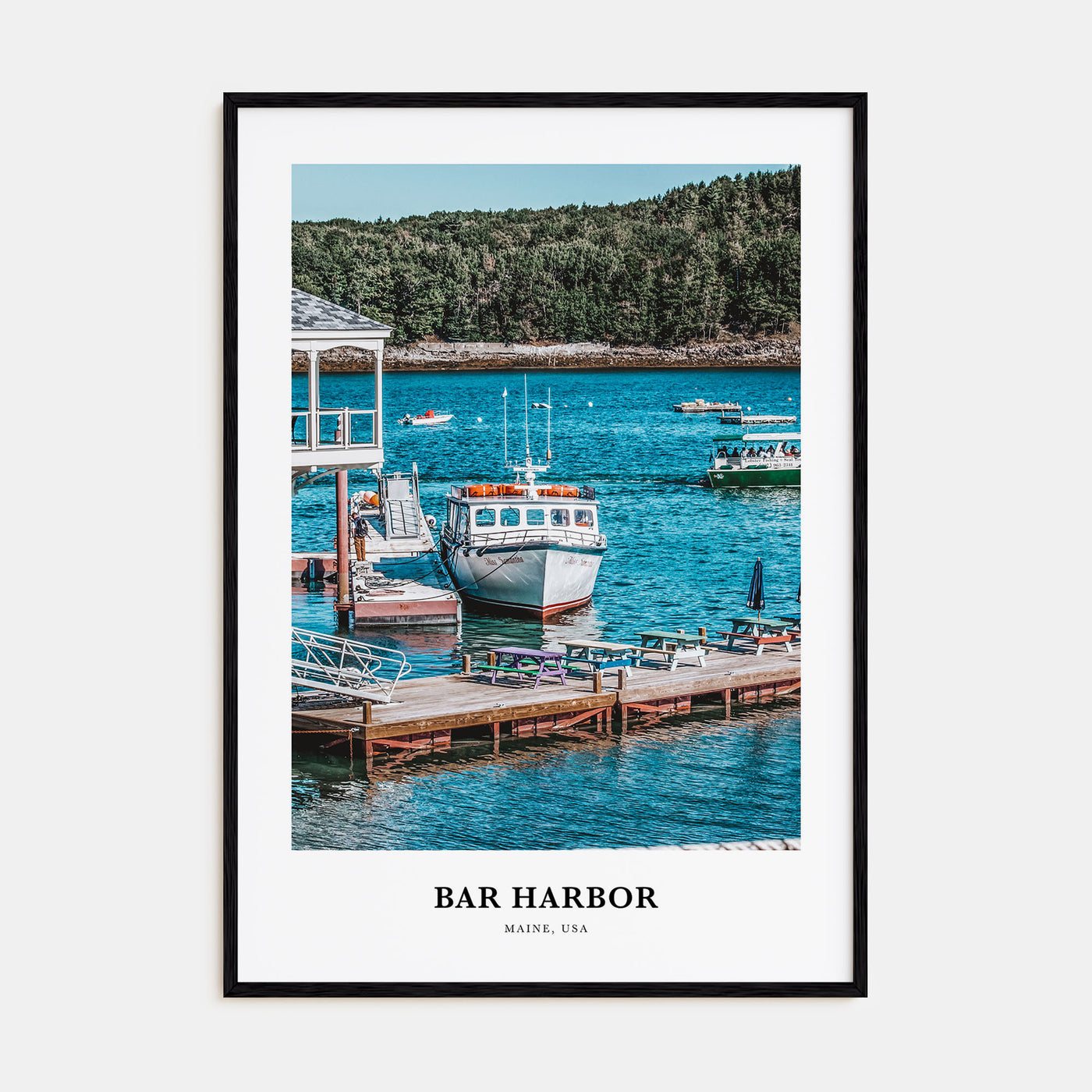 Bar Harbor Portrait Color No 2 Poster